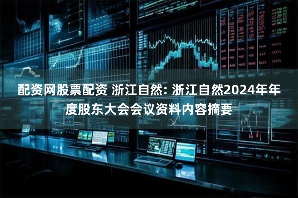 配资网股票配资 浙江自然: 浙江自然2024年年度股东大会会议资料内容摘要